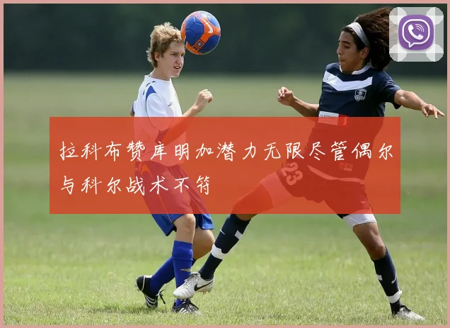 拉科布赞库明加潜力无限尽管偶尔与科尔战术不符