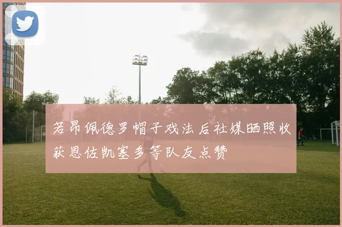 若昂佩德罗帽子戏法后社媒晒照收获恩佐凯塞多等队友点赞