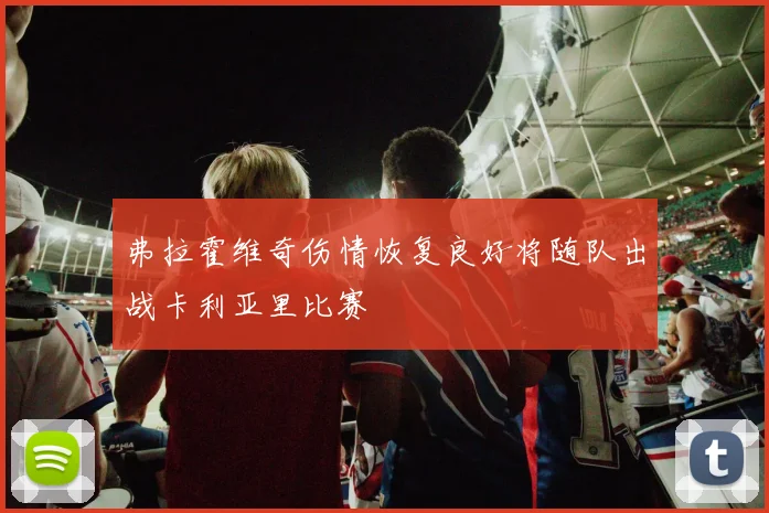 弗拉霍维奇伤情恢复良好将随队出战卡利亚里比赛
