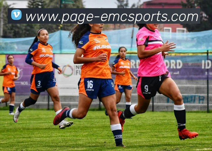 易倍体育发展历程